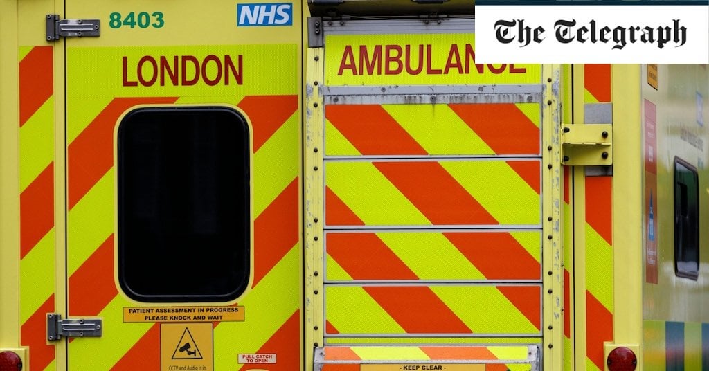 Foreigner who clubbed man to death will not be deported to protect mental health