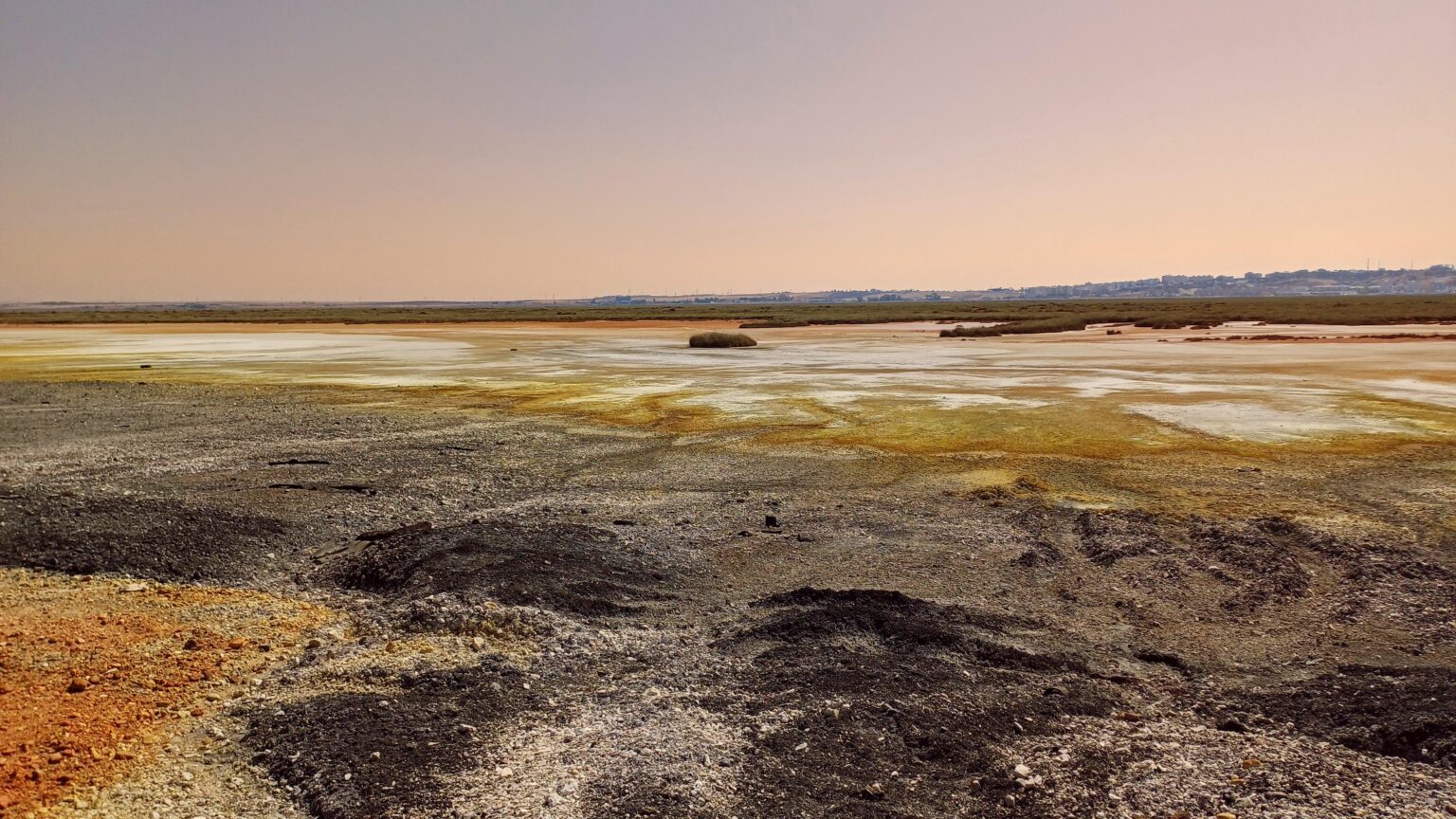 "Donkey's Marsh" - Huelva
