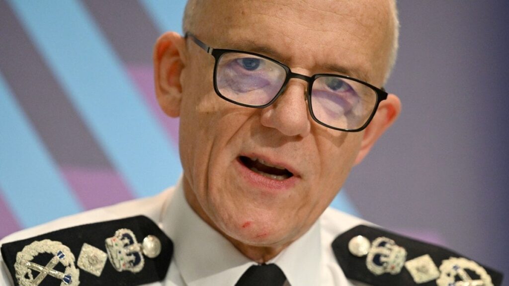 Climate and war protests eat into real policing, says Met boss