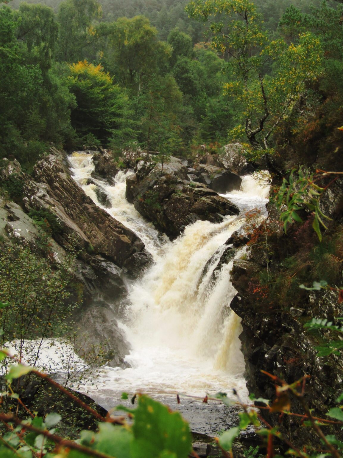 Rogie Falls, The Highlands
