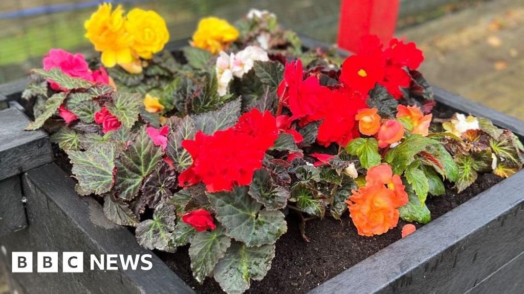 Platform plants 'poisoned by peeing passengers'