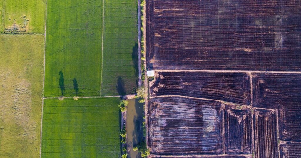 England set for top three worst harvest as impact of wet winter continues to linger