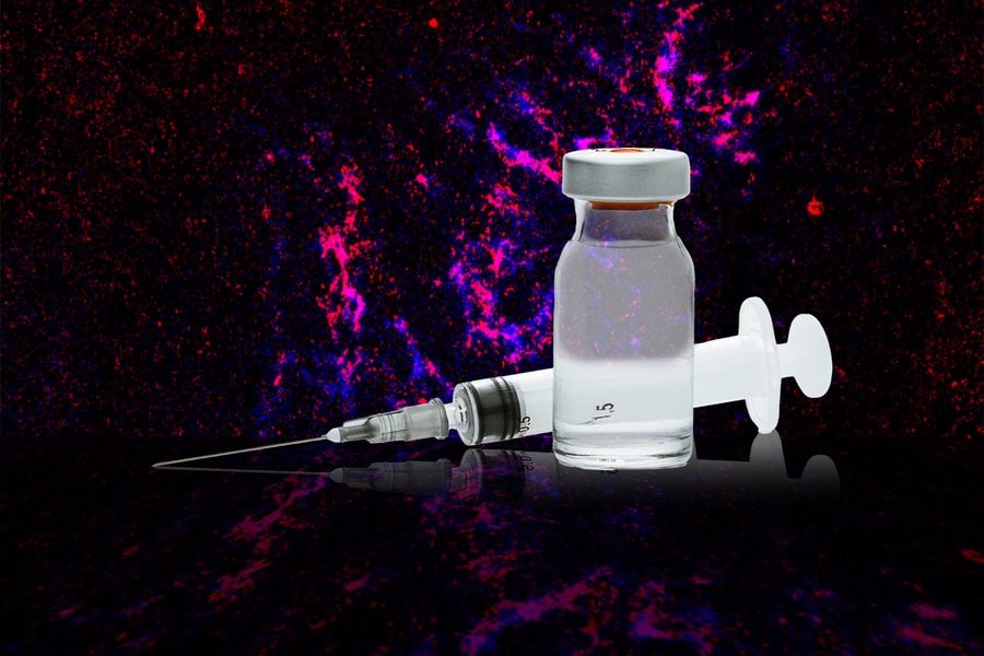 Defeating AIDS: MIT reveals new vaccination method that could kill HIV in just two shots |  MIT researchers found that the first dose primes the immune system, helping it generate a strong response to the second dose a week later.
