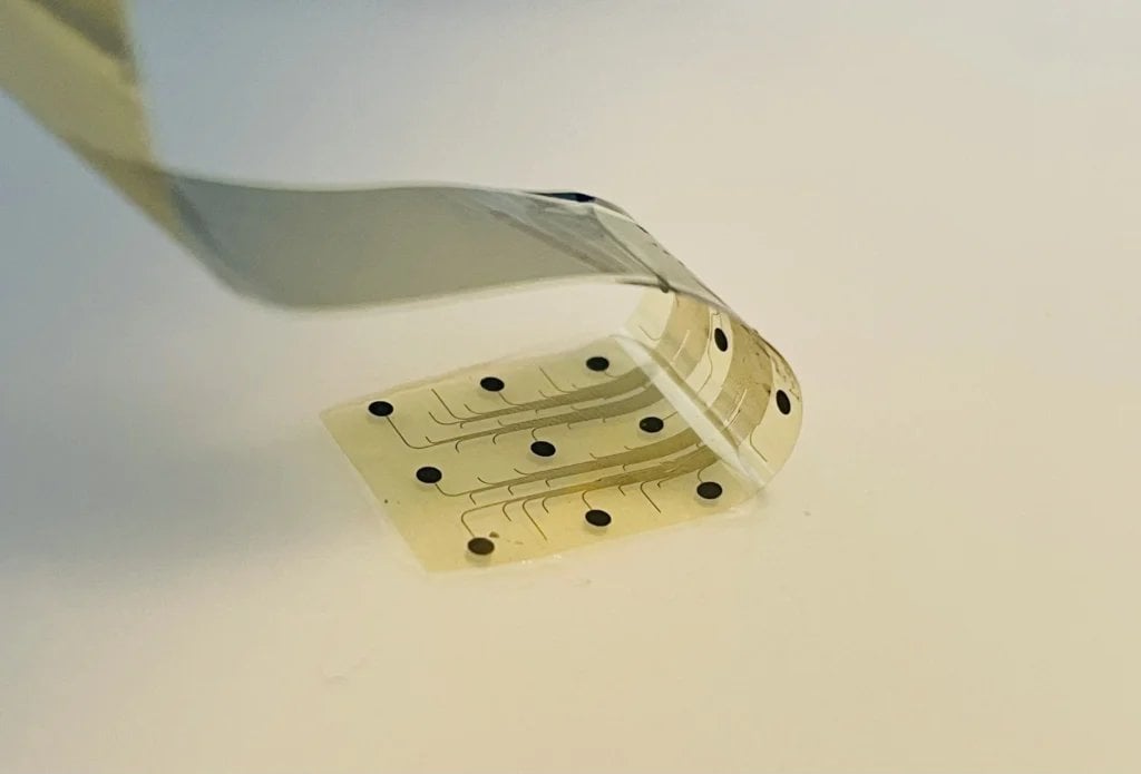 Graphene-based brain chip implanted in cancer patient. INBRAIN Neuroelectronics announced the first human procedure of its cortical interface in a patient undergoing brain tumor resection.