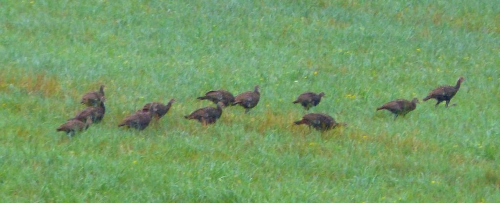 Try it; you’ll like the results