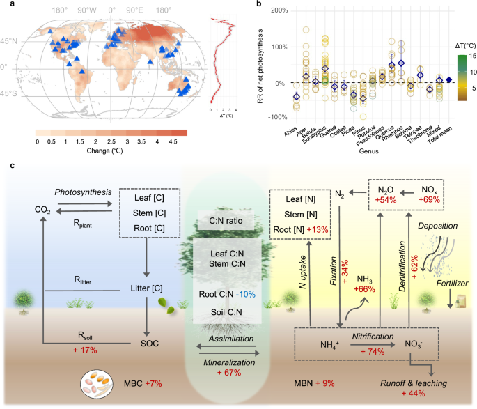 Warming exacerbates global inequality in forest carbon and nitrogen cycles Warming exacerbates global inequality in forest carbon and nitrogen cycles