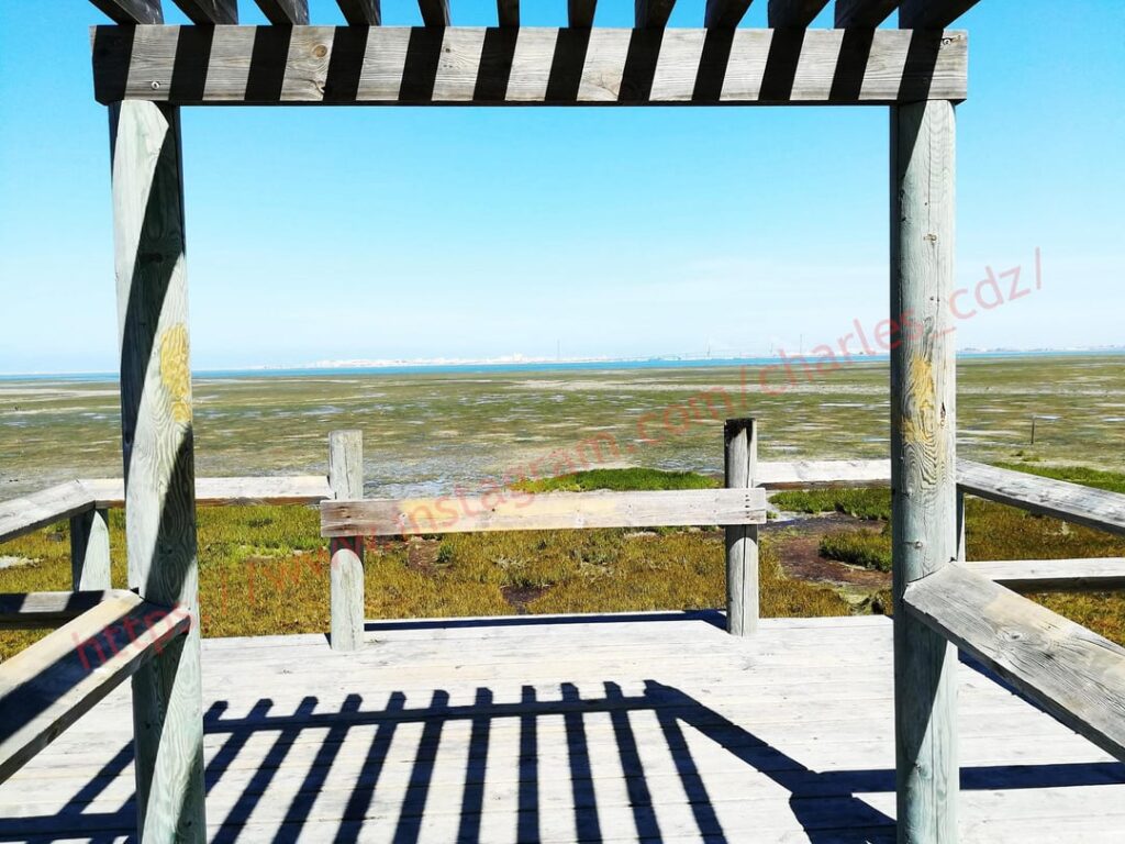 Bahía de Cádiz in San Fernando (Cádiz), my land