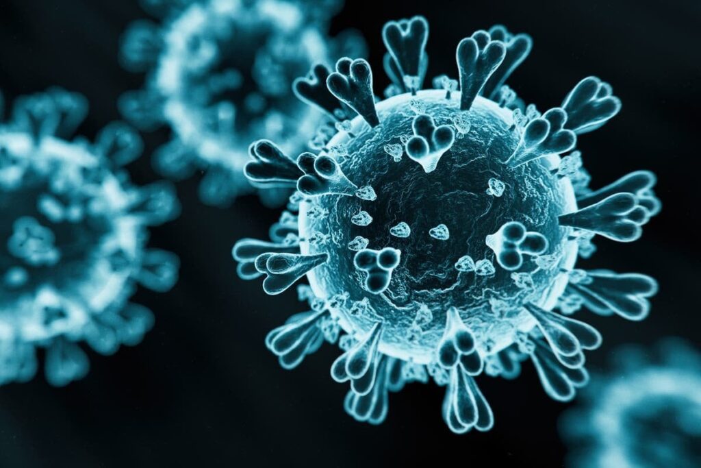Covid hospitalisations surge as new variant XEC spreads across UK