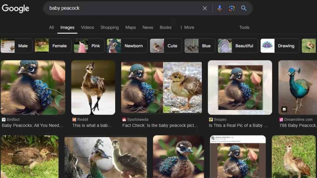 AI images take over Google Image results, users complain