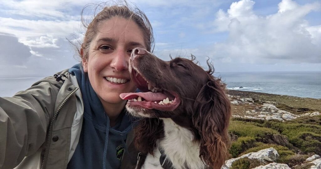 Hero dog who protects seabirds on Scots islands crowned 'Animal of the Year'