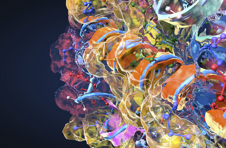 Effects of Mutations on Protein-Protein Interactions Predicted by New AI Tool Protein, illustration