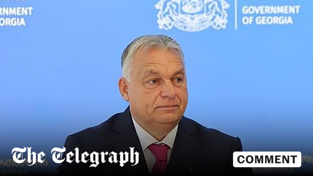 For once the Left is right. Viktor Orban is Putin's stooge