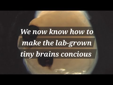 Will we be able to help those with brain damage with new technology?