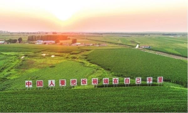 Seeds of Security: China's AI-Driven Agricultural Revolution
