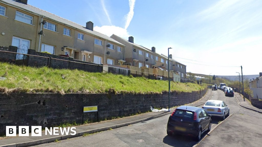 Blaenau Gwent: Girl, 12, has life-changing injuries in dog attack