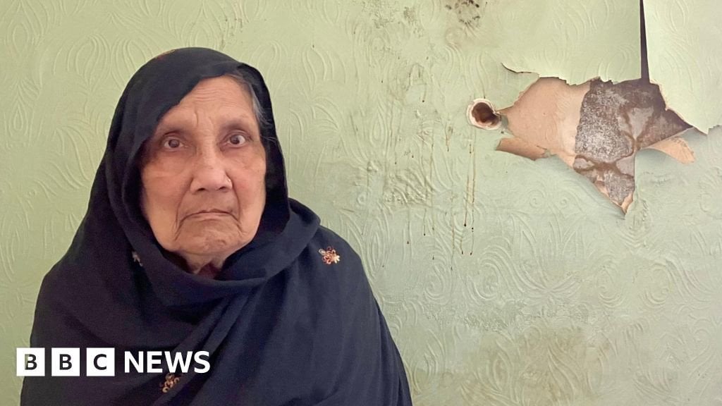 'Botched insulation means mushrooms grow on my walls'