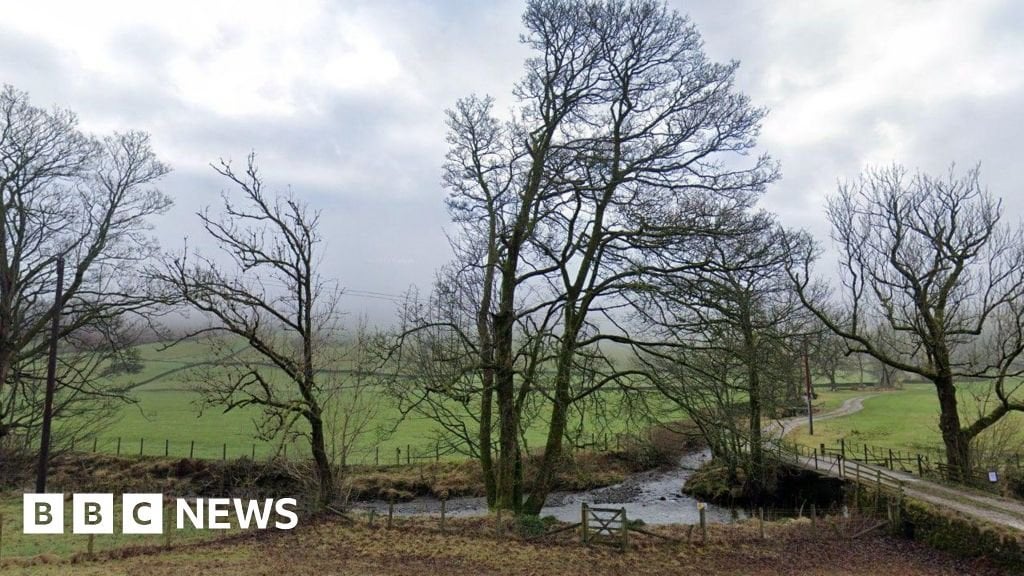 Rare lichen found thriving in Cumbrian river