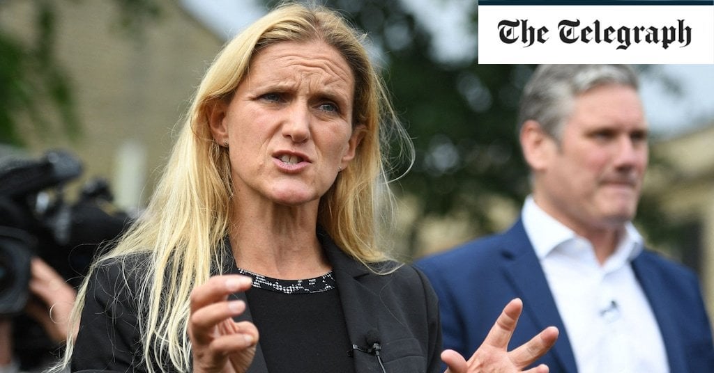 Extend assisted dying to those without terminal illness, say Labour MPs