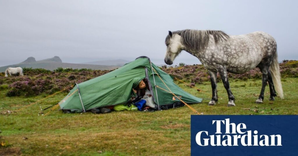 Picnicking on Dartmoor is trespassing, landowner’s lawyers tell court | Access to green space