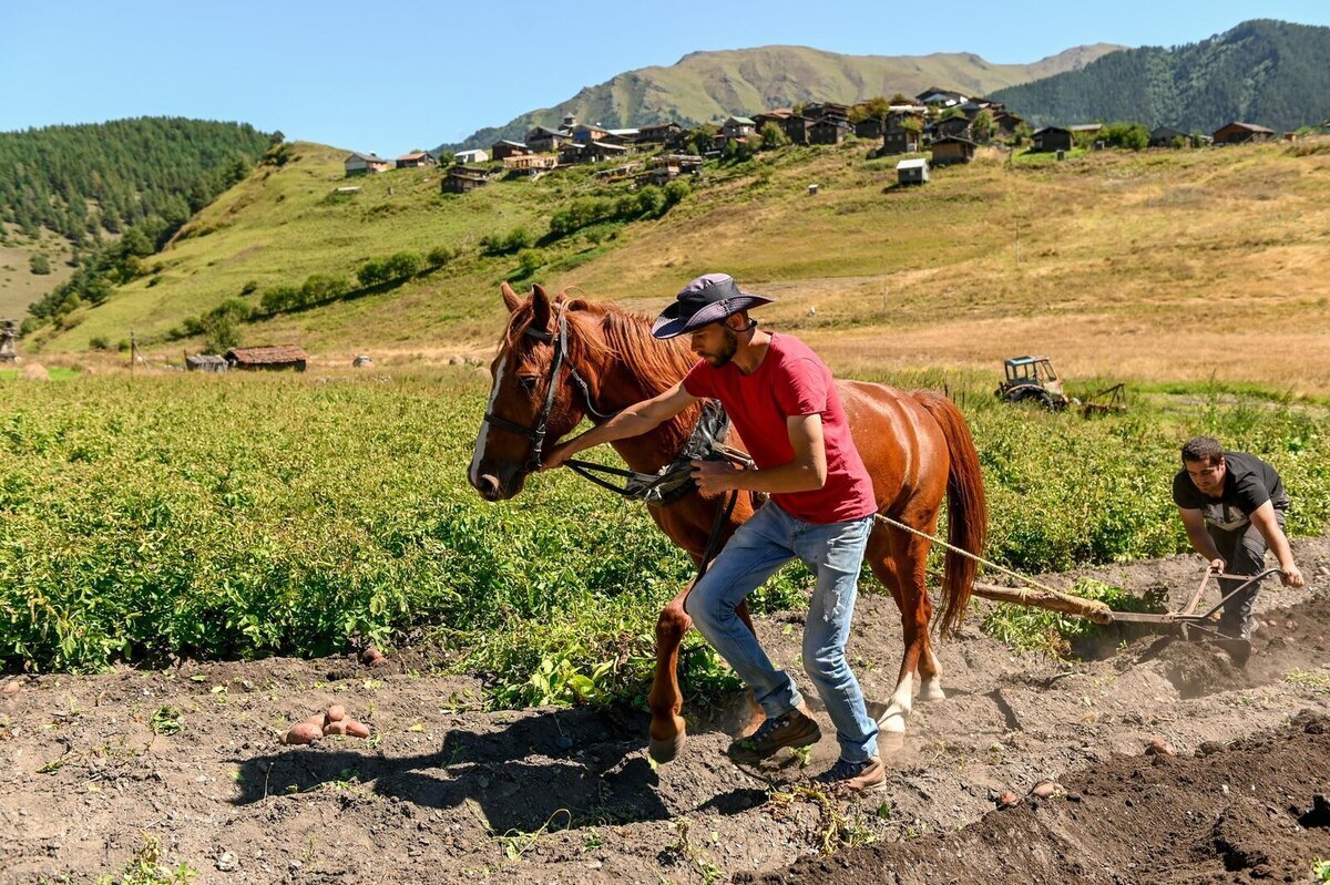 Supporting rural development in Georgia