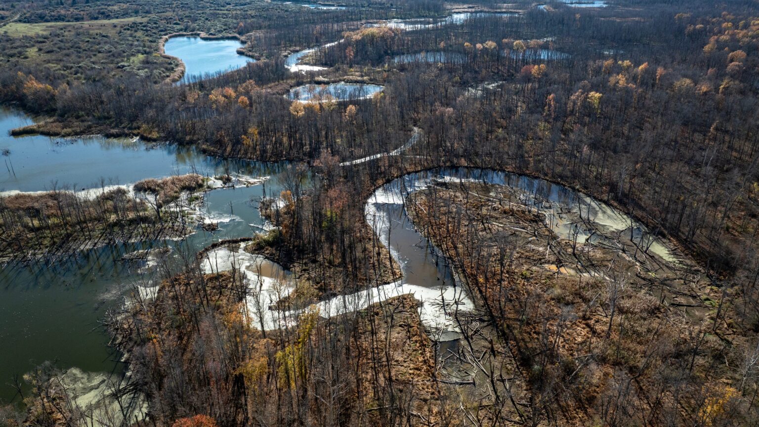 Indiana's newest public land purchase spans 4,000 acres