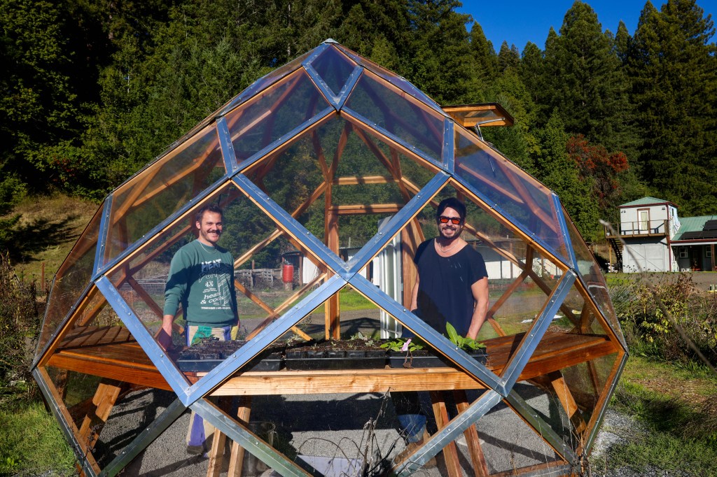 What is solarpunk? Hopeful environmental movement thrives in Bay Area
