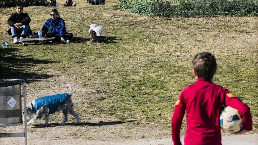 Spain runs out of children: there are 80,000 fewer than in 2023