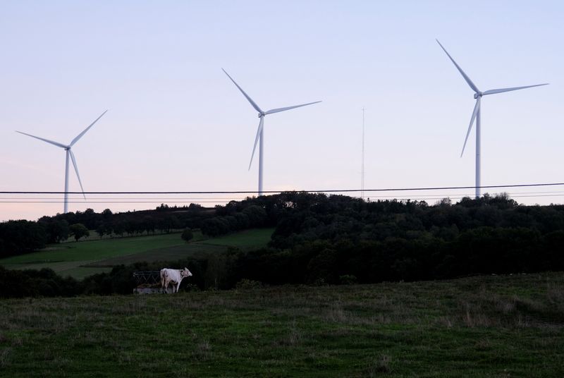 Spain's electricity demand edges up as renewables break records