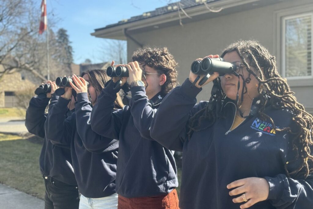 FAVOURITE STORIES OF 2024: Nature’s NEAR shows HDSB students the environment right in their own playground