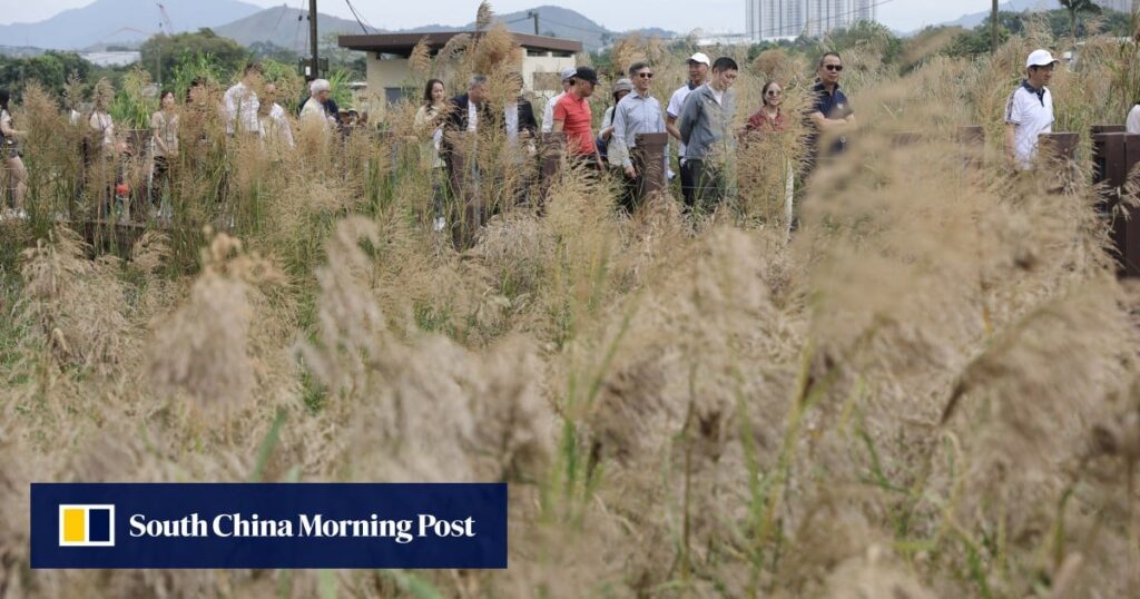 Hong Kong’s Long Valley Nature Park opens to public after habitat restoration Hong Kong’s Long Valley Nature Park opens to public after habitat restoration
