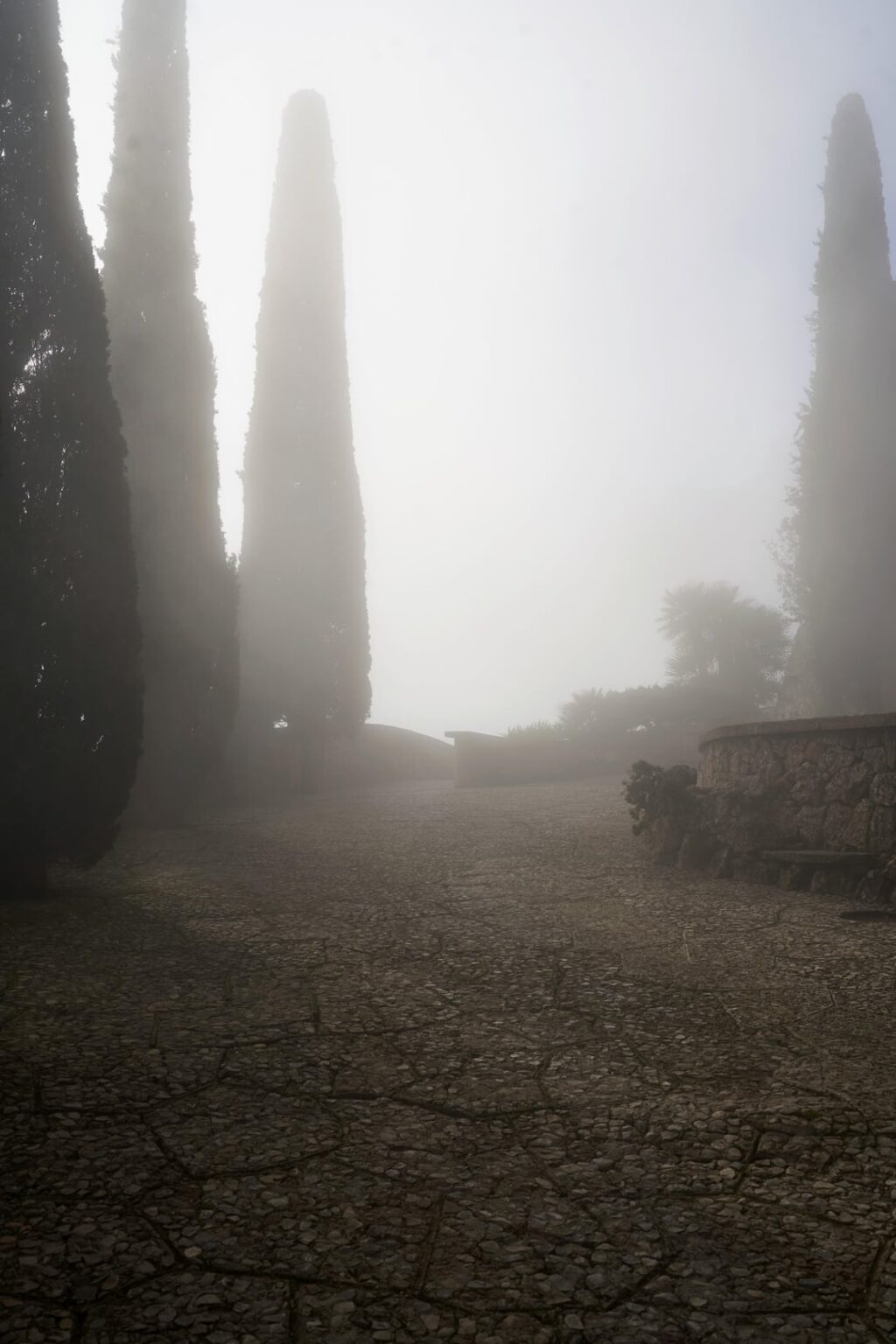 A November morning in Monteserrat