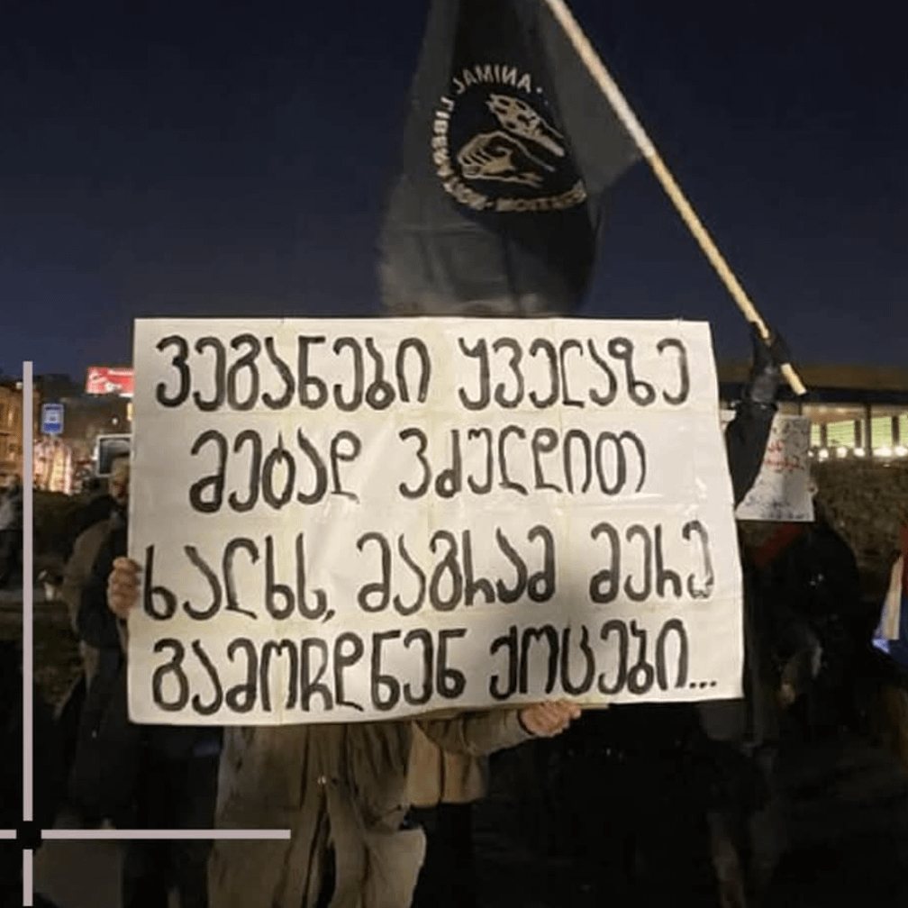 "We, vegans were the most hated people, but then the 'Kotsebi' (Georgian Dream) appeared."