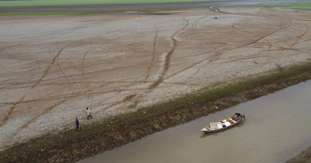 L'Amazonie a été marquée par la sécheresse, les incendies et la déforestation en 2024 | Environment News