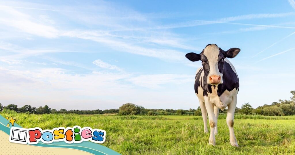Could a miracle pill for cows help save the environment?