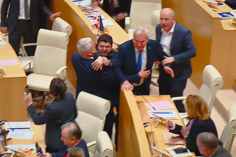 Georgian lawmakers fighting 