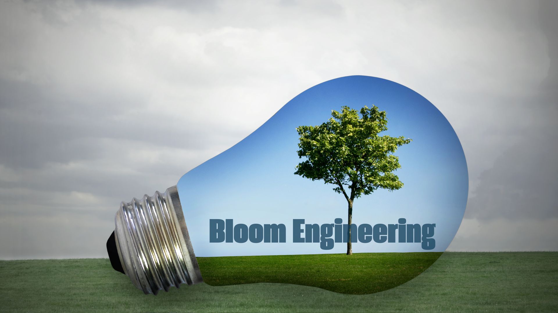 Bloom Engineering