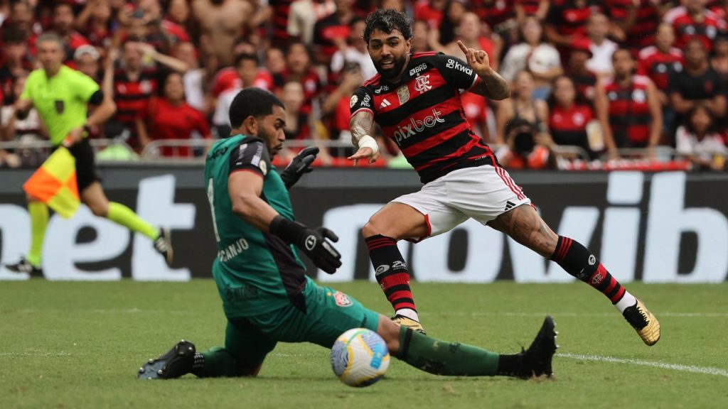 Brazil Regulated Sports Betting Nears, Rei do Pitaco Secures License