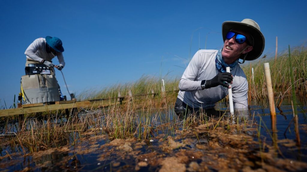 In Florida, a race is on to save the Everglades and protect a key source of drinking water