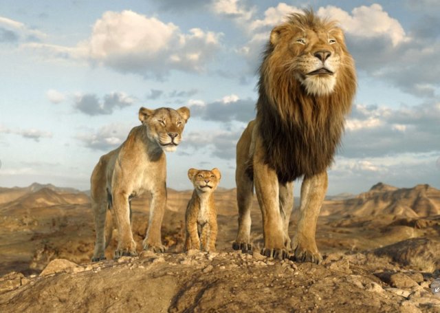 Jenkins brings fresh energy, originality to “Lion King” prequel “Mufasa” Jenkins brings fresh energy, originality to "Lion King" prequel "Mufasa"