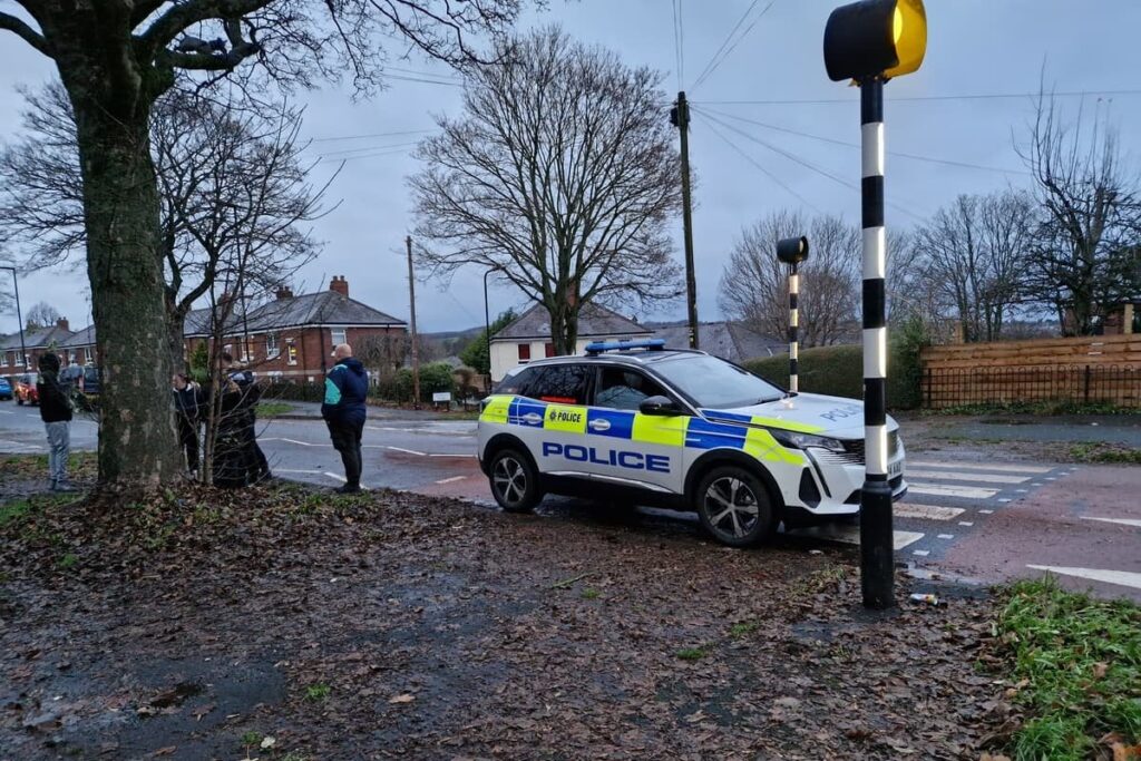 Hillsborough police incident: XL Bully dog shot dead by police after woman bitten in Sheffield street Hillsborough police incident: XL Bully dog shot dead by police after woman bitten in Sheffield street