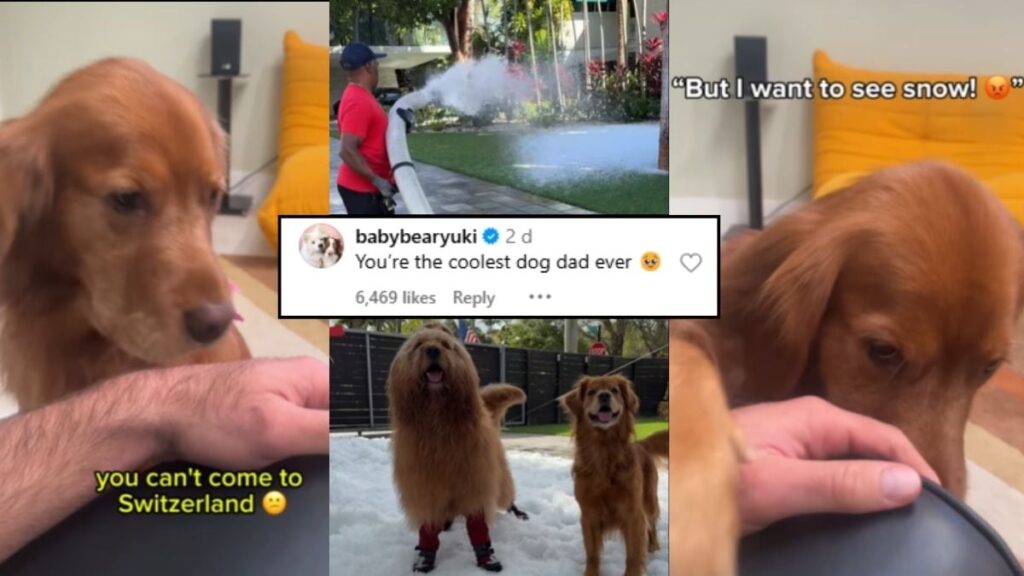 Florida Man Turns His Garden Into Snowy