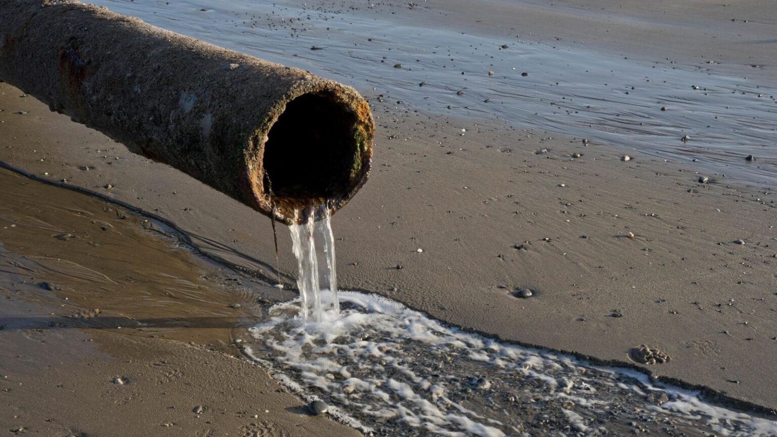 Government and the water regulator Ofwat broke law on sewage, says watchdog