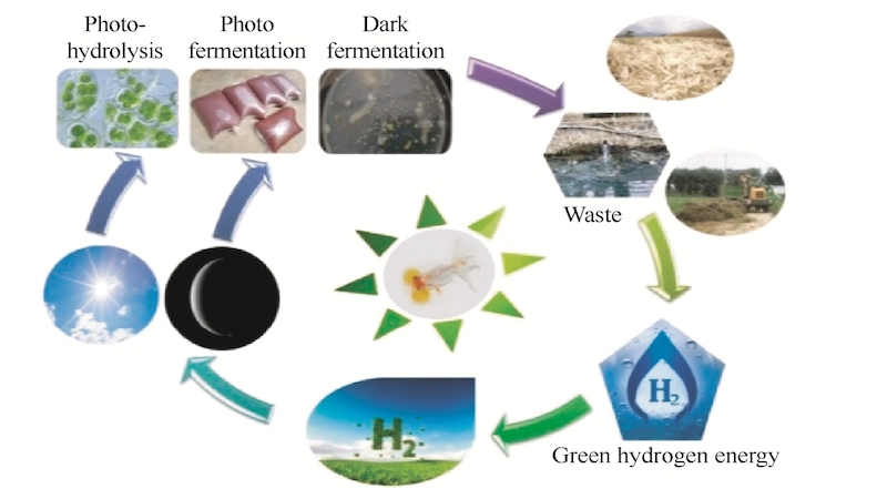Transforming Waste Into Hydrogen Wealth – Eurasia Review Transforming Waste Into Hydrogen Wealth – Eurasia Review