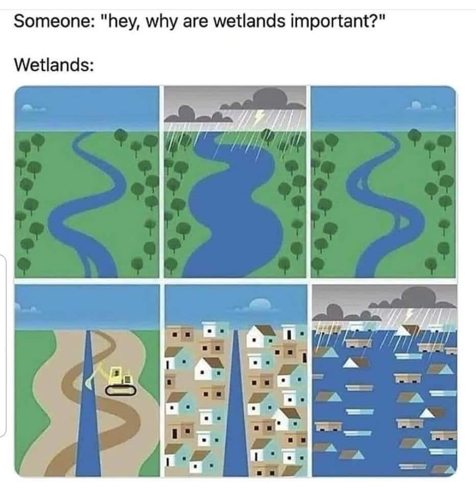 The causes of build on old wetlands