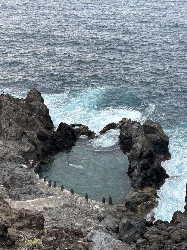 So beautiful 😻 (Tenerife🇪🇸)