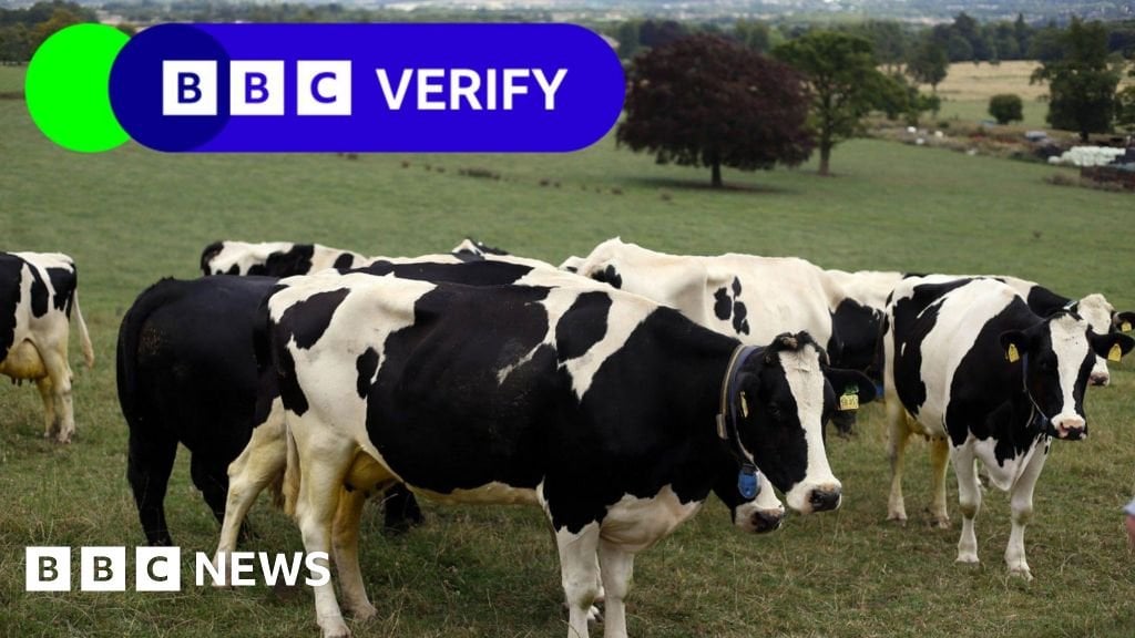 Why are people pouring milk down the drain over a cow feed additive?
