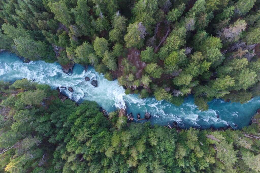 Whistler environmentalists launch holiday campaign