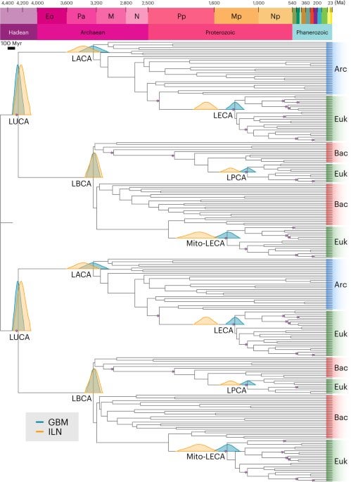 A new discovery about early life on Earth has big implications for the future search for alien life on exoplanets. It suggests microbial life may be very common in the Universe and/or widely seeded via panspermia.