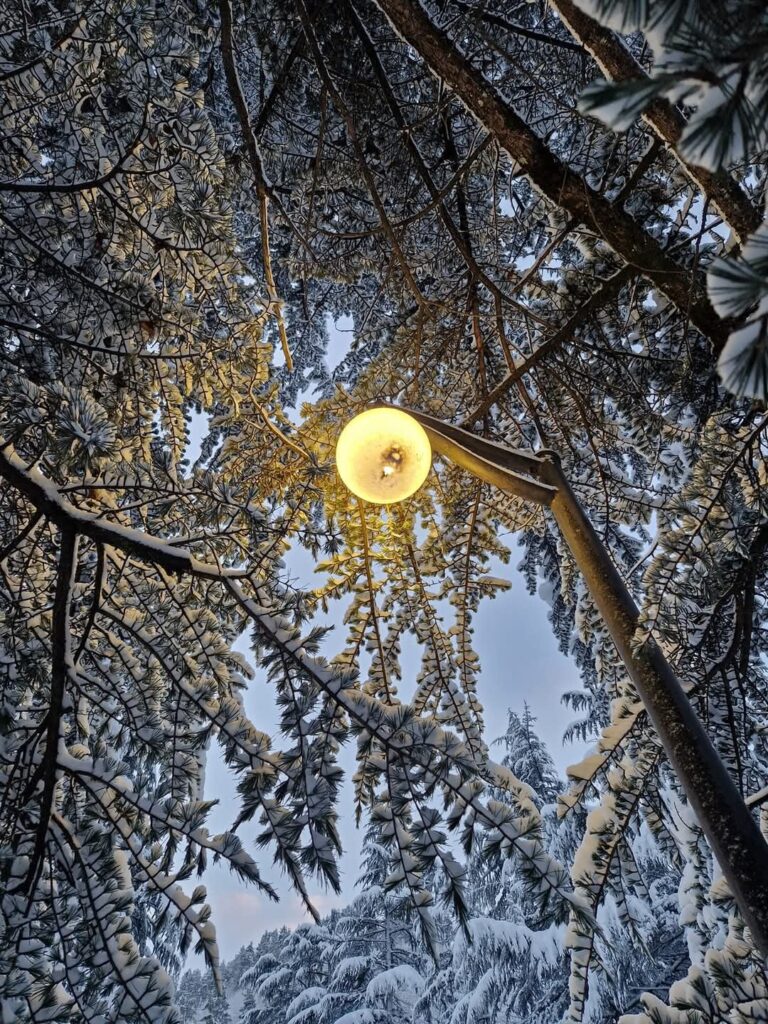 Borjomi Snow photos ❄️