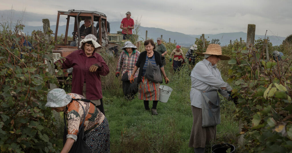 Long Tied to Russia, Georgia’s Winemakers Look to the West